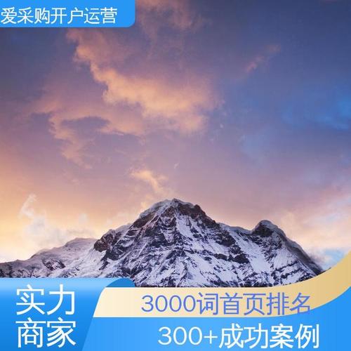 从B2B供应链到智能运营 企业采购、代运营与软件外包一站式解决方案